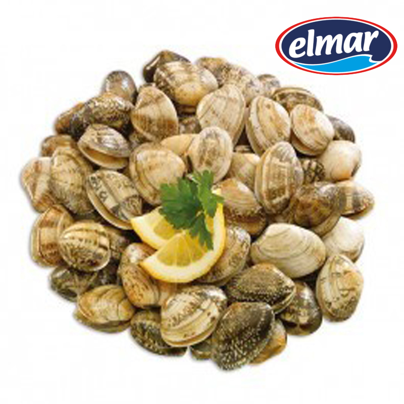 Imagen de ALMEJA JASPEADA EL MAR