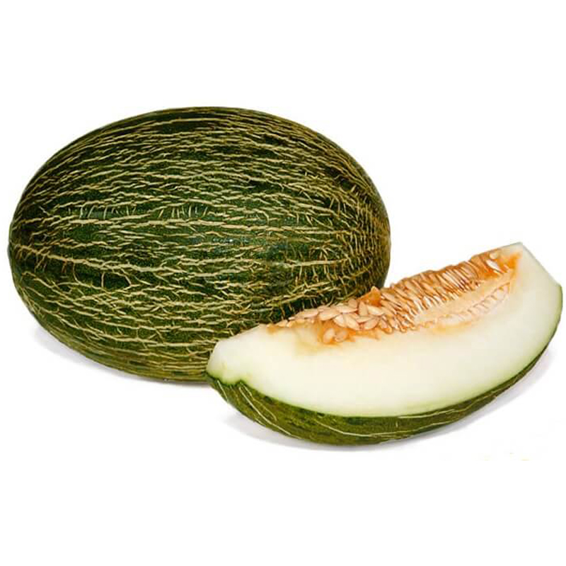 Imagen de MELON