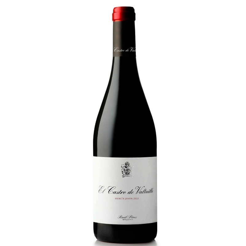 Imagen de CASTRO VALTUILLE JOVEN