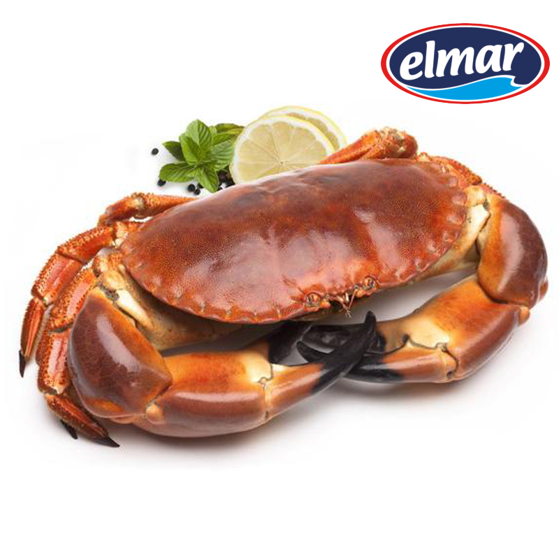 Imagen de BUEY ELMAR