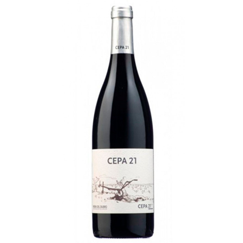 Imagen de CEPA 21